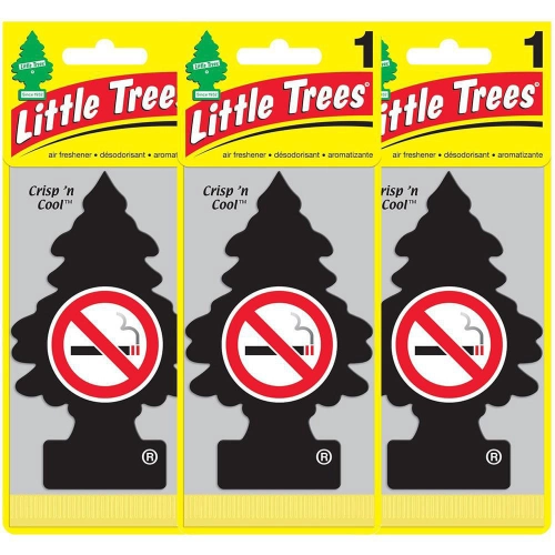 AROMATIZANTE LITTLE TREES CRISP'N COOL